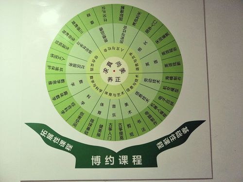心泽境染，润物无声——泽心咨询，以专业与温暖守护心灵成长